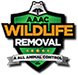 Wildlife Removal Aldine TX
